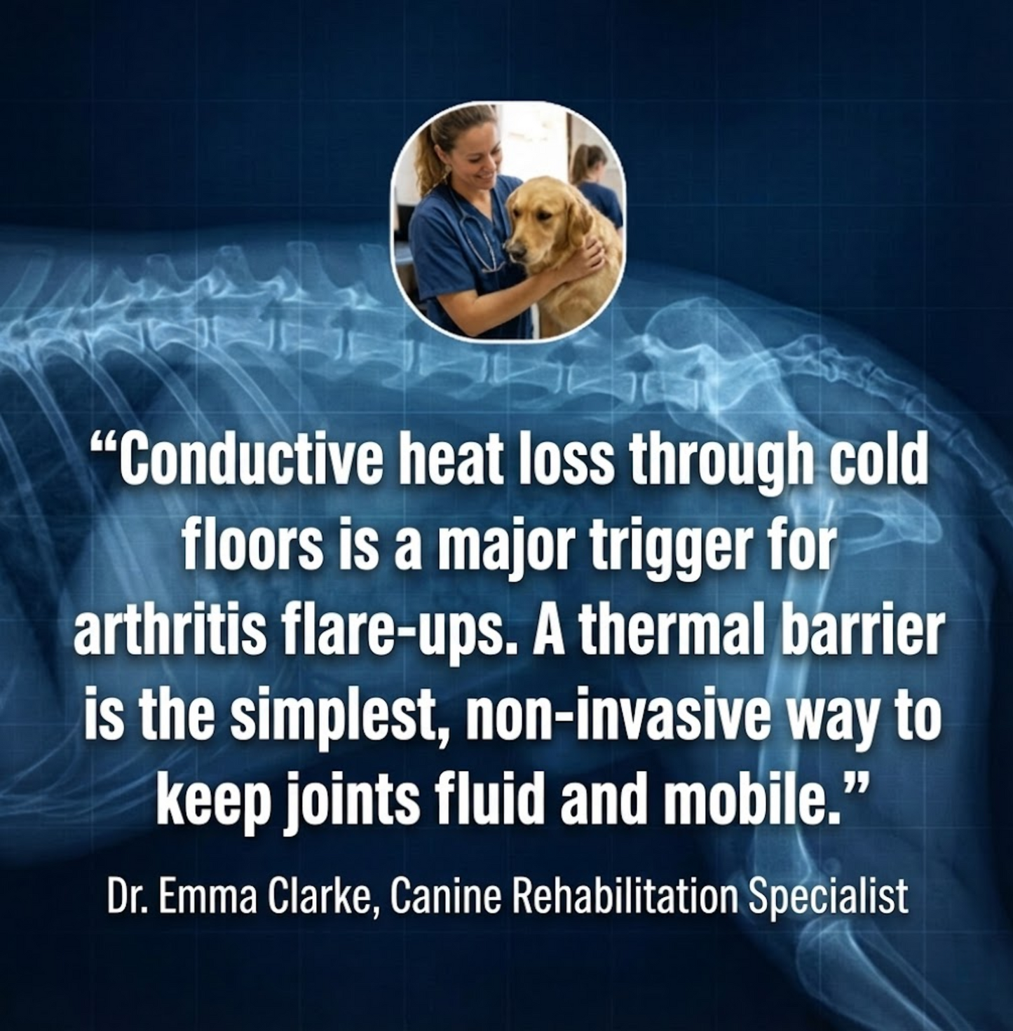 STOP JOINT HEAT LOSS – RESTORE MOBILITY & COMFORT!